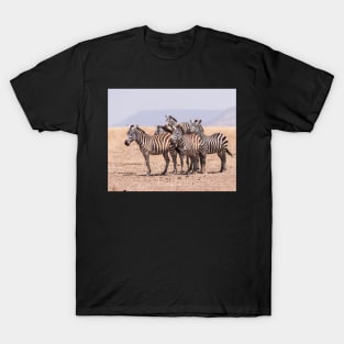 Serengeti Zebras #4 T-Shirt